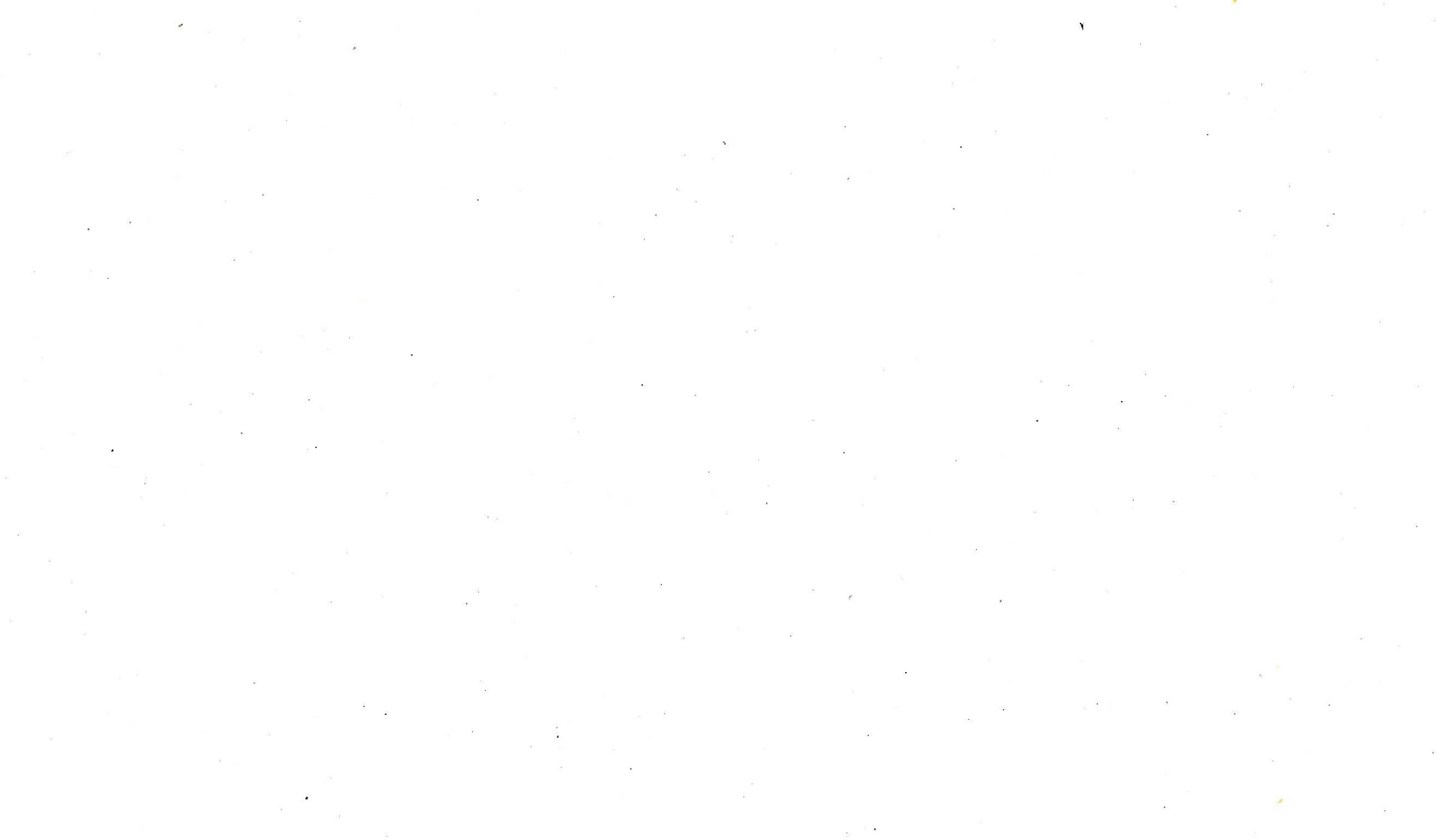 BANDANNA'S 22x22 INCH