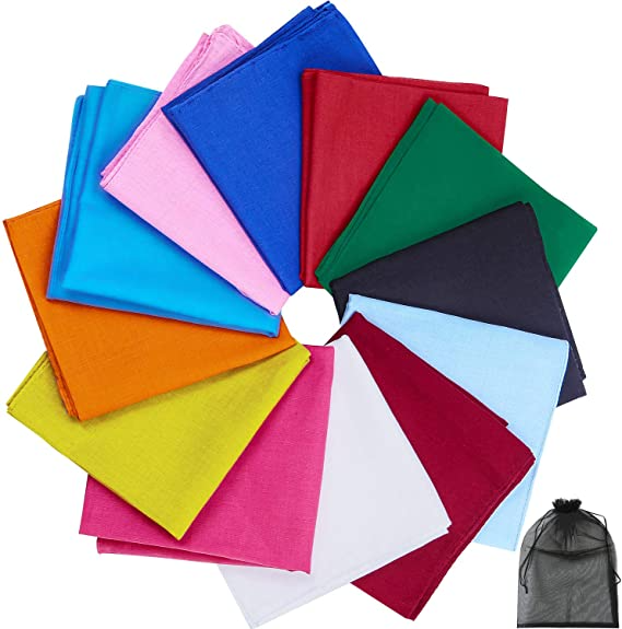 BANDANNA'S 22x22 INCH