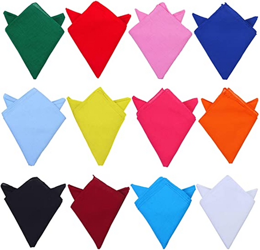 BANDANNA'S 22x22 INCH