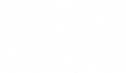 BANDANNA'S 22x22 INCH